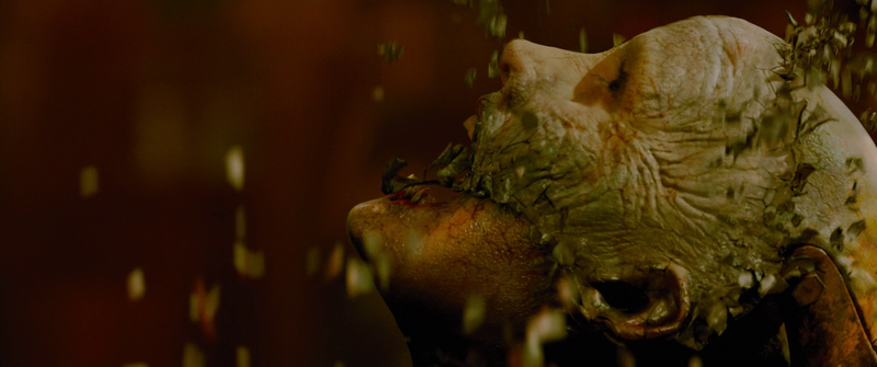 Decent mixture of live action and visual effects... the budget is decently used often in the film.